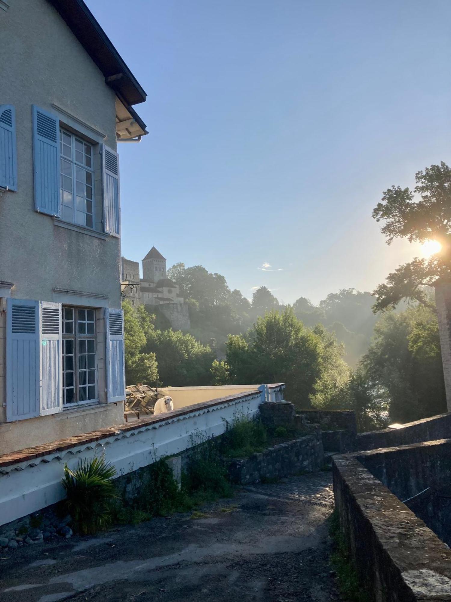 Maison Du Gave Sauveterre-de-Bearn Exterior foto